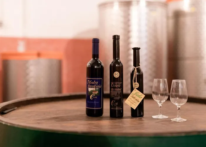 Cosy Hill Rucman With A Breathtaking View * Zgornja Pohanca