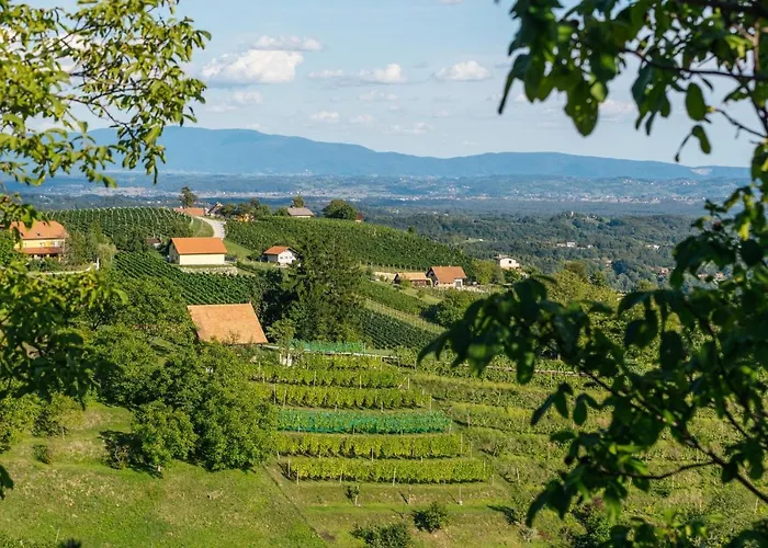 Cosy Hill Rucman With A Breathtaking View Zgornja Pohanca